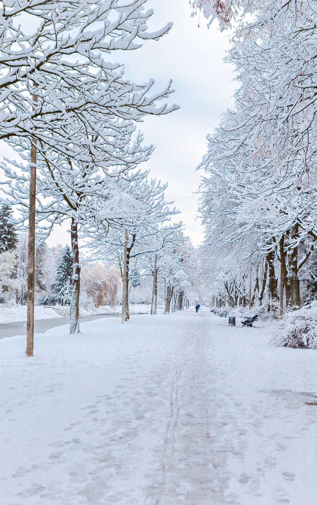 Téli élmények a Balatonnál